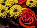 FlorART, студия цветов
